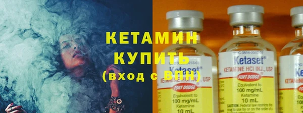 прущие грибы Белокуриха