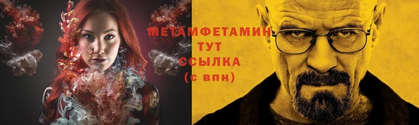 прущие грибы Белокуриха