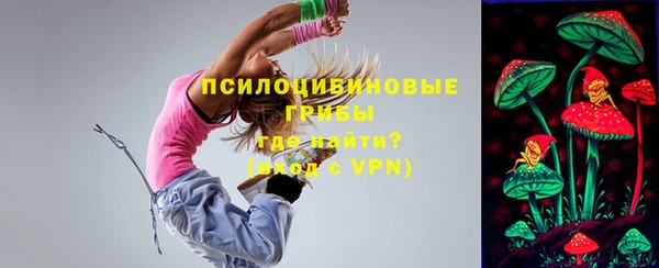 прущие грибы Белокуриха