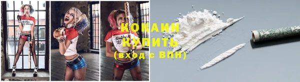 прущие грибы Белокуриха