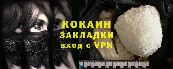 прущие грибы Белокуриха
